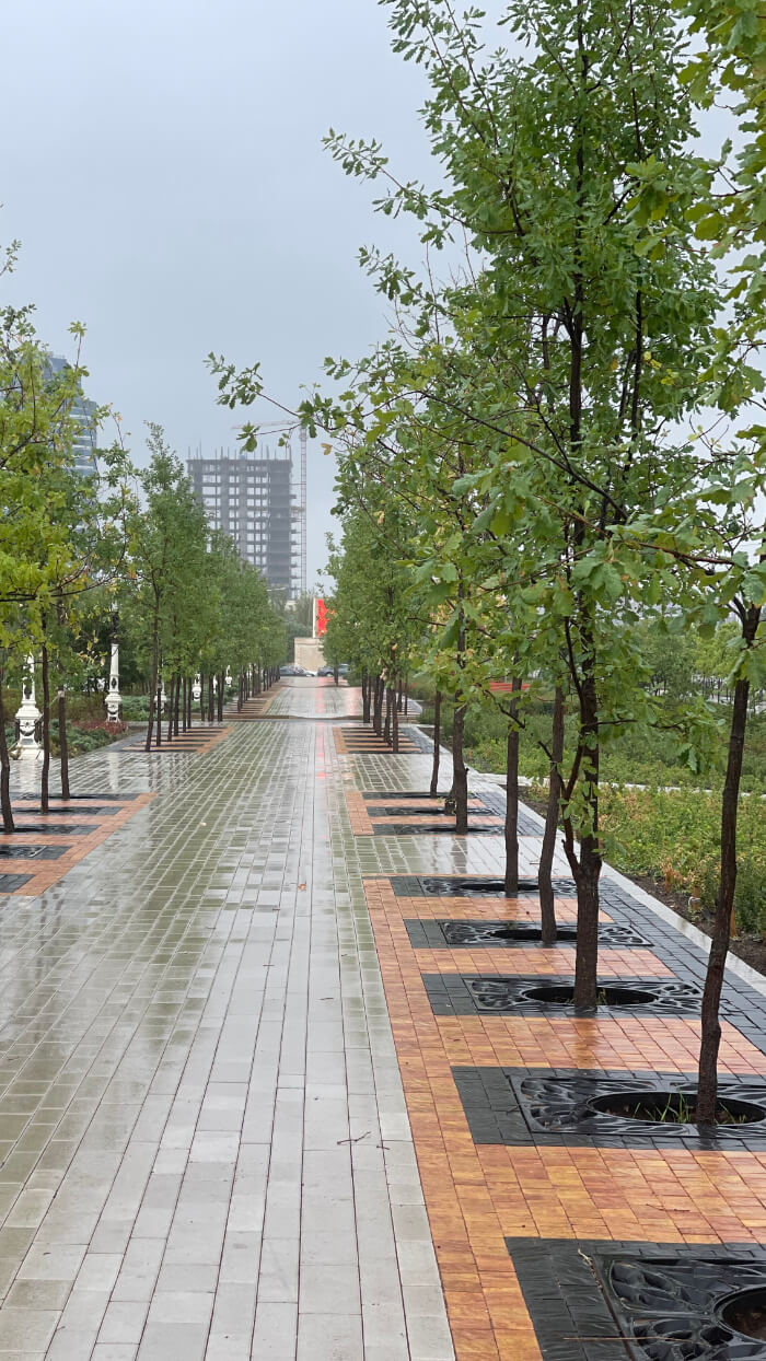 Приствольная решетка для дерева ZKING CRUST 1.2х1.2м Черная в Сызрани фото