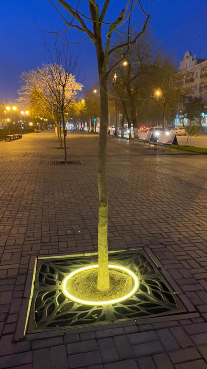 Приствольная решетка для дерева ZKING CRUST 1.2х1.2м Черная в Сызрани фото